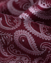 Barolo Paisley Jamawar Tie