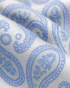 Capri Sky Jamawar Paisley Tie