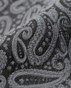 Roma Charcoal Tonal Paisley Tie